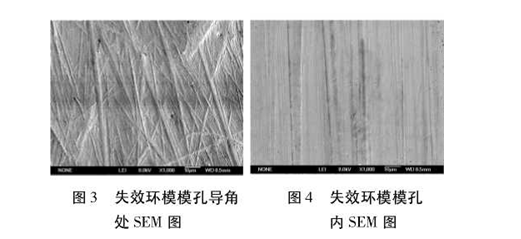 失效環模摸孔SEM圖